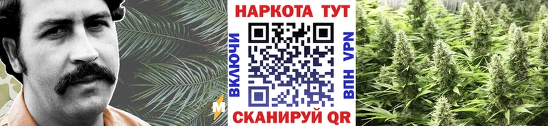 Как найти наркотики Канаш COCAIN  Мефедрон  ГАШИШ 