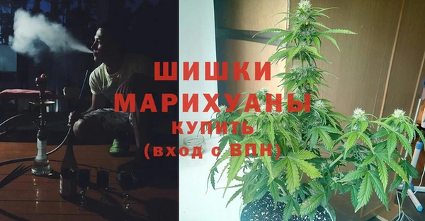 мяу мяу мука Балабаново