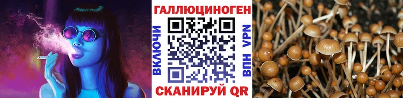 сколько стоит  ОМГ ОМГ как зайти  Галлюциногенные грибы прущие грибы  Канаш 